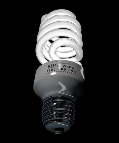 Compact Fluorescent Bulb